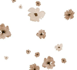 Delicate Daisies - Cocoa